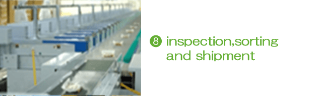 8.Inspection and shipment